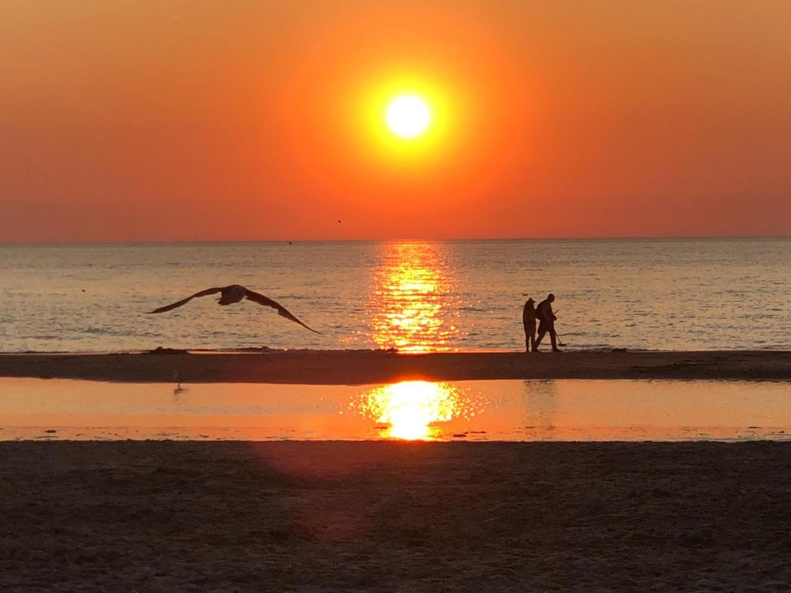 Villa Aan Zee Noordwijk Esterno foto